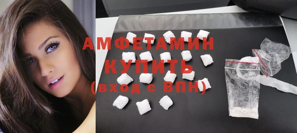 трава Осинники