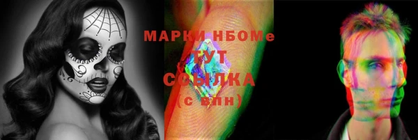 трава Осинники
