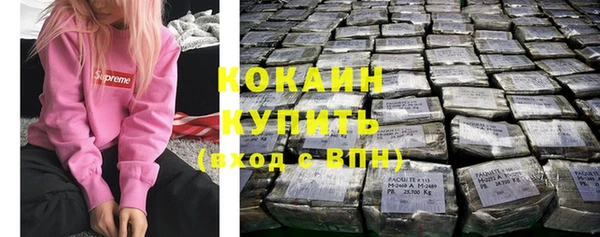 трава Осинники